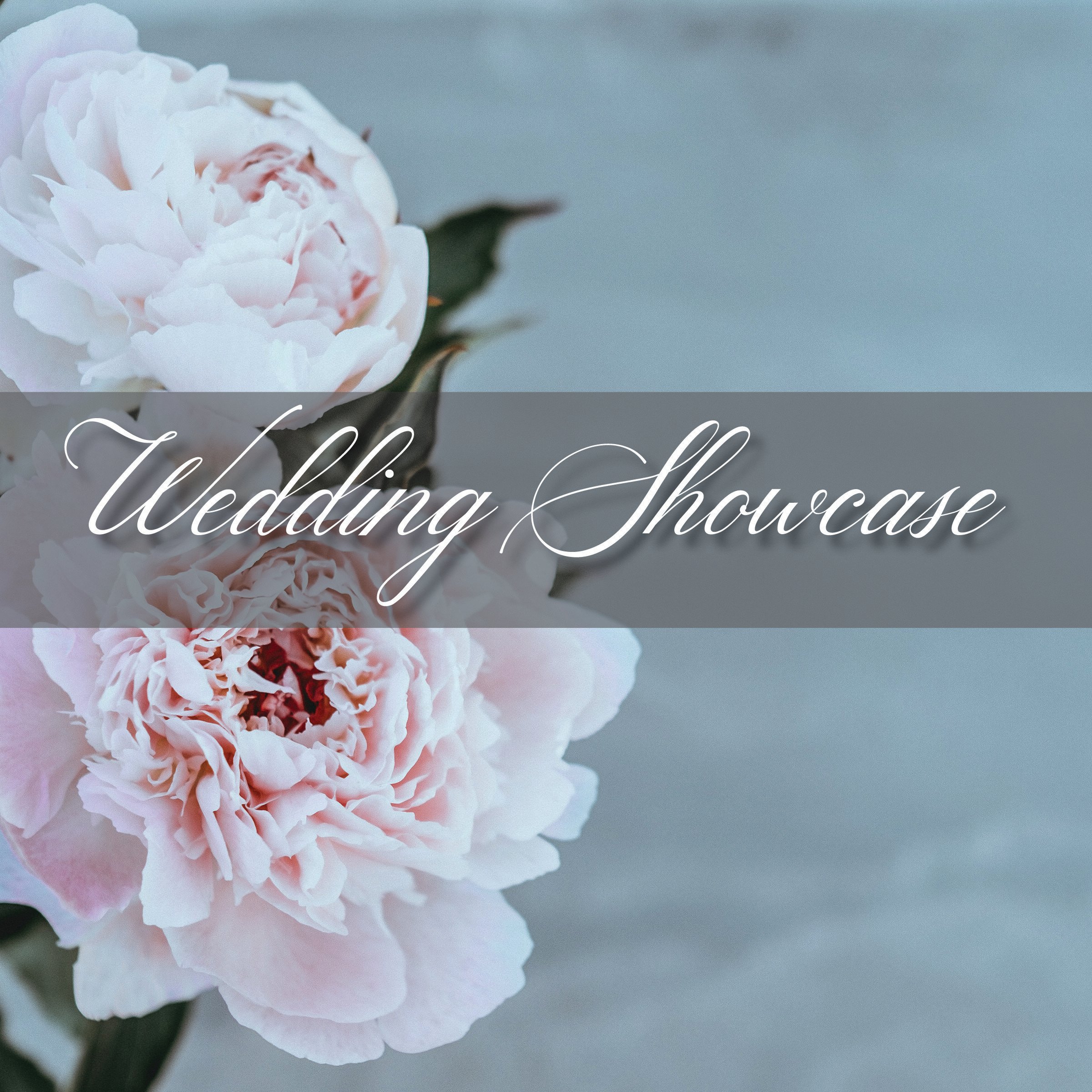 Wedding Showcase