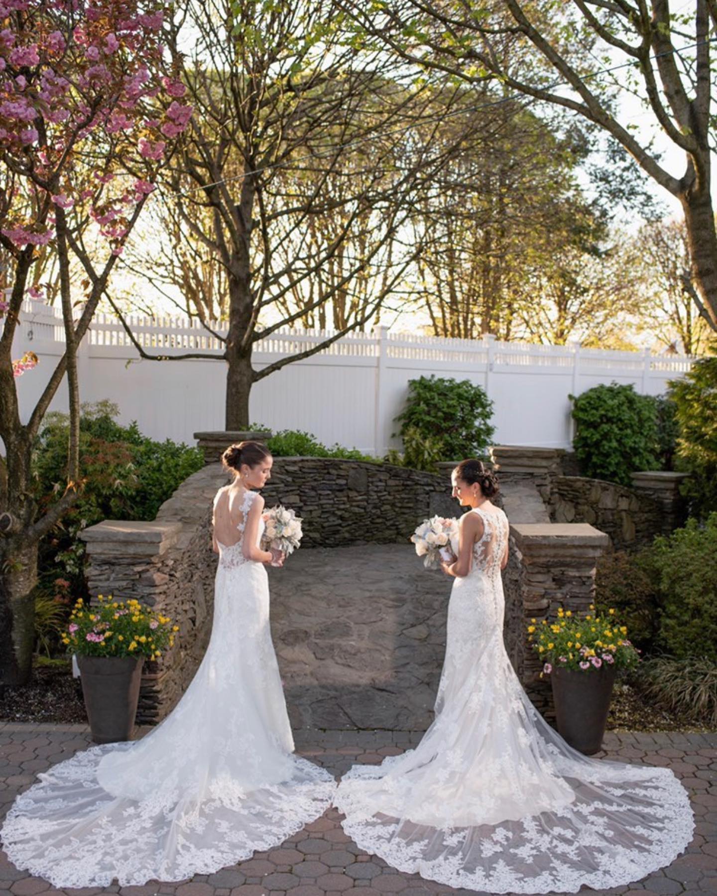 WM Weddong 3
